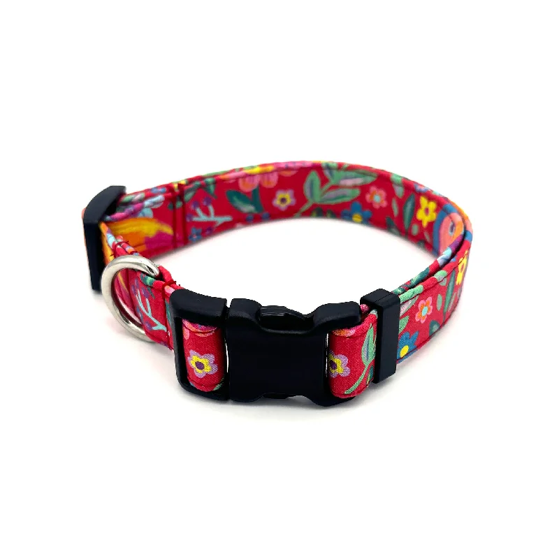  . **Cat food bowl anti-overturning**Toucan Dog Collar
