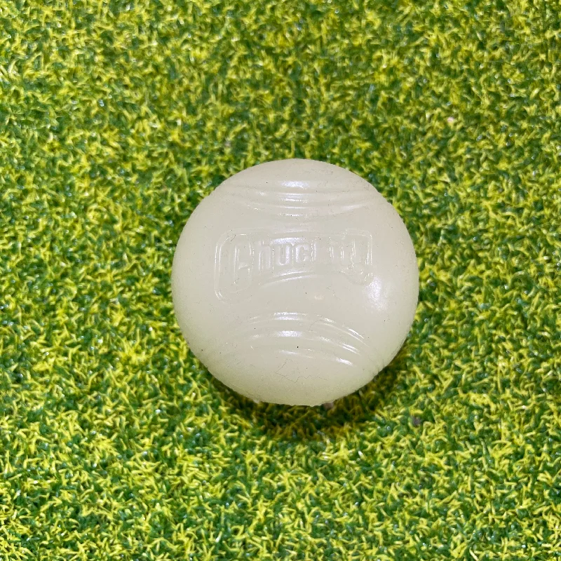  -Cost-effective pet toy recommendationsChuckIt Max Glow in the Dark Ball