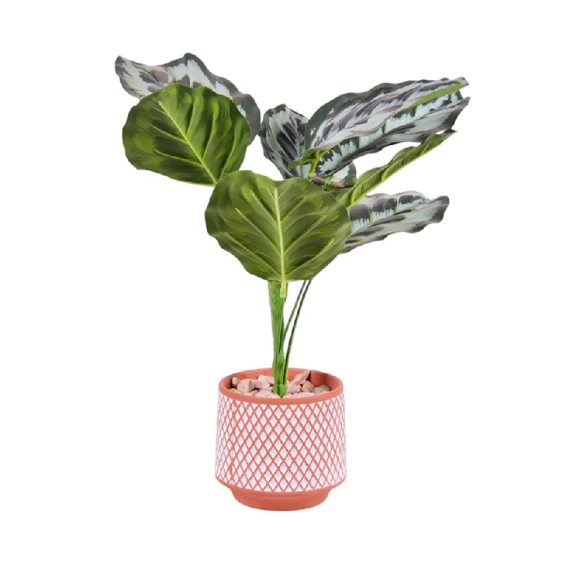 - Parrot climbing and standing wooden frameARTIFICIAL FLOWER POT IR ADF1-52