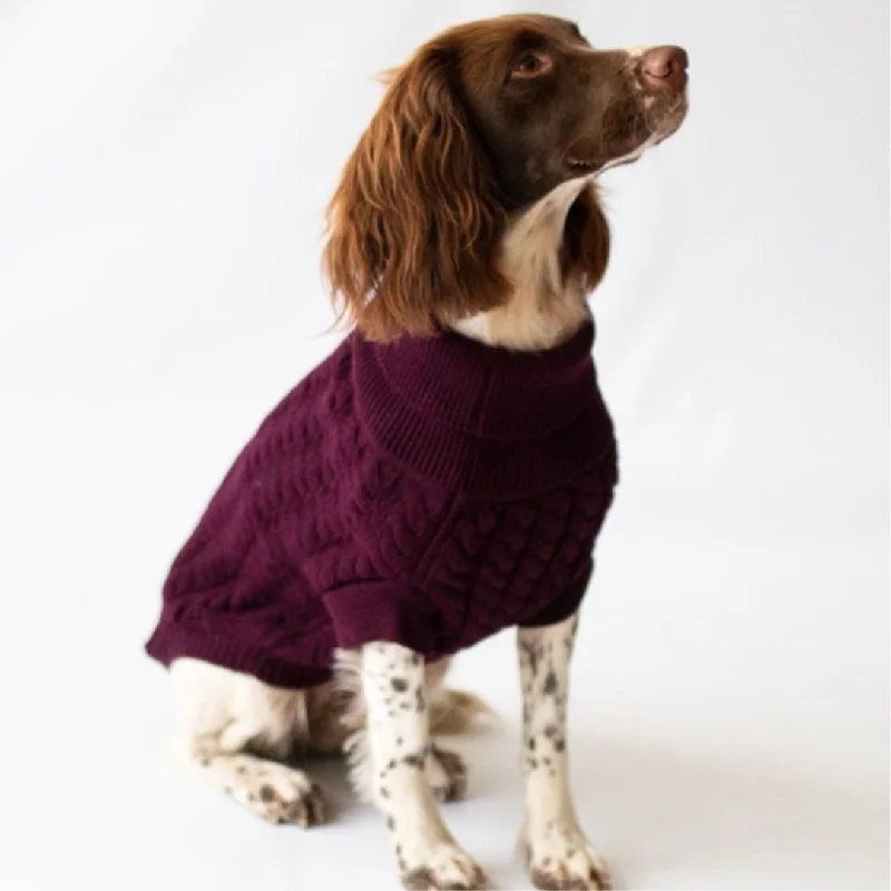 - Parrot climbing and standing wooden frameThe Rascal Dog Jumper in Grape
