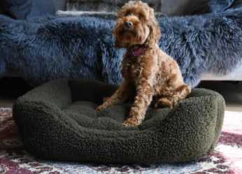 - Chinchilla cooling ice nest ceramic plateRosewood Green Pile Fleece Square Bed (Small) - Chinchilla cooling ice nest ceramic plateRosewood Green Pile Fleece Square Bed (Small)
