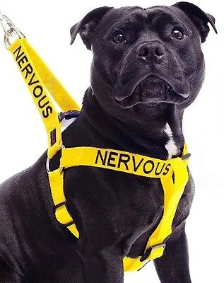 - Summer pet ice matNervous Strap Harness