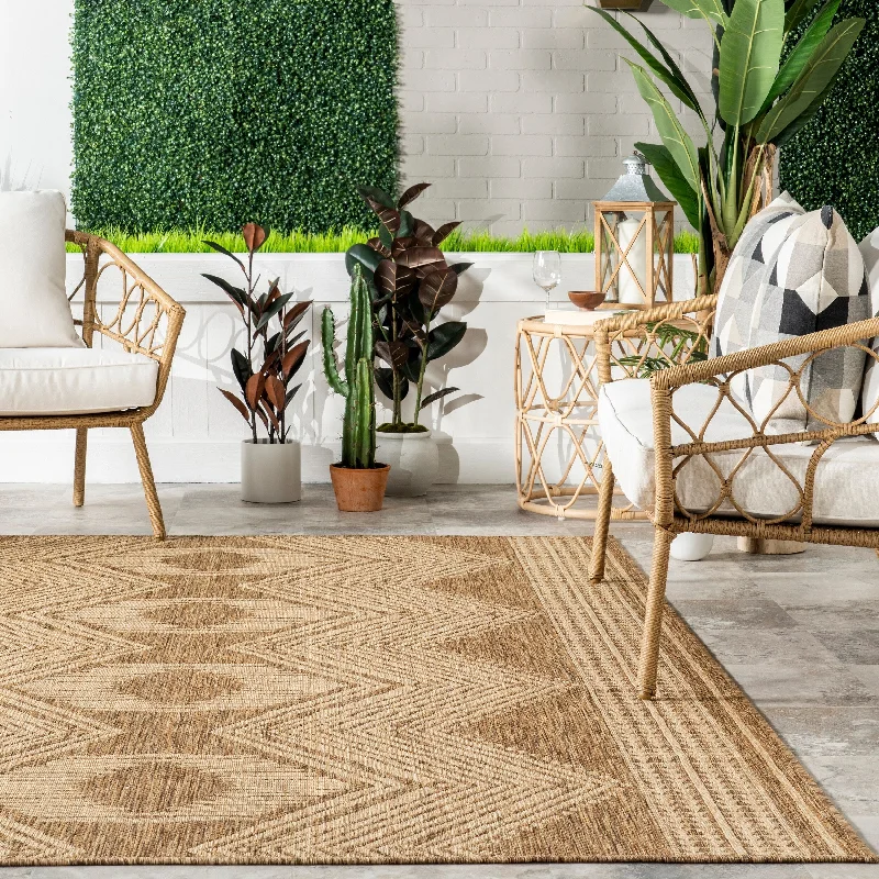  -Non-contact cat thermometerNuloom Charlotte Contemporary Indoor/Outdoor Area Rug