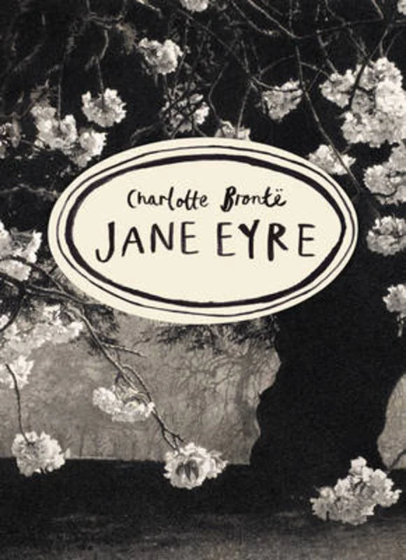 - Car dog seat beltJane Eyre (Vintage Classics Bronte Series)