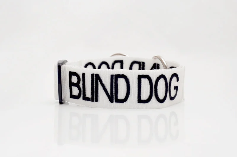 - Automatic temperature adjustment cat bedBlind Dog Snap Collar