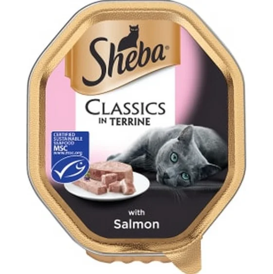 - Cat anti-jump window safety netSheba Alutray ClassicsSalmon In Terrine 85g