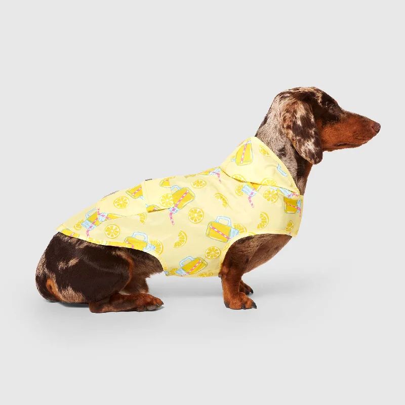 Large dog clothesPick Me Poncho