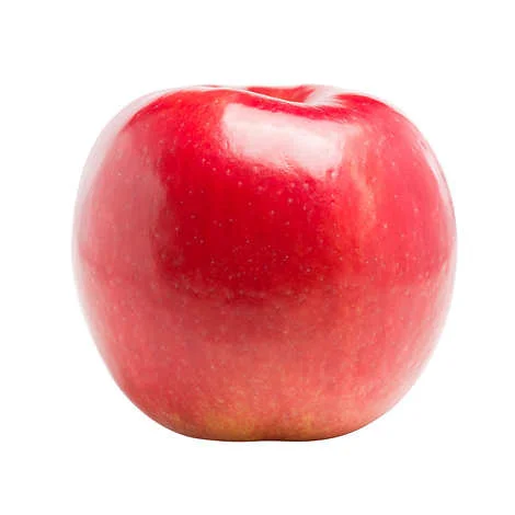 - Elderly dog ​​joint care mattressRave Apples