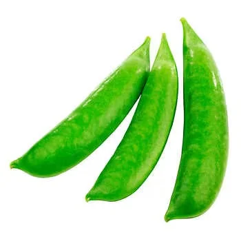 - Pet diabetes prescription foodSugar Snap Peas